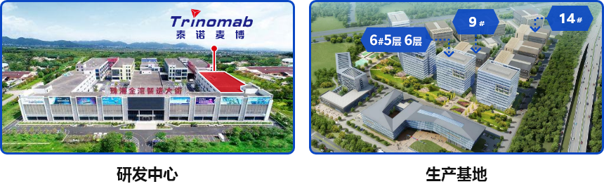 1768299119837243.png 中文.png